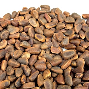 以下が含まれることがあります： 松の実の山をクローズアップで見た様子。松の実は薄い茶色で、少しざらざらした質感です。