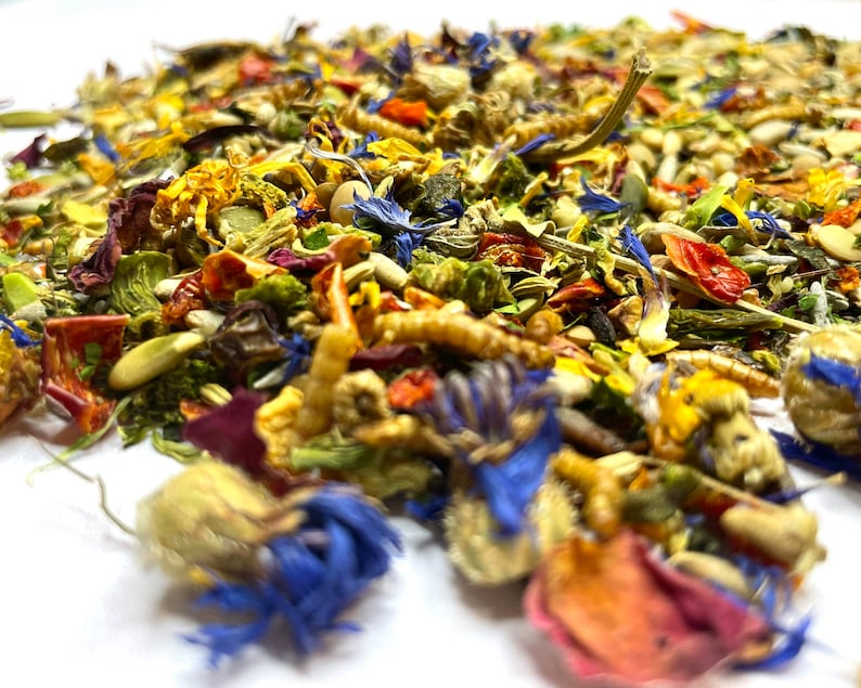 Puede incluir: Una mezcla de flores secas, semillas y otros ingredientes para la dieta de una mascota. La mezcla incluye ingredientes rojos, naranjas, amarillos, verdes y azules.