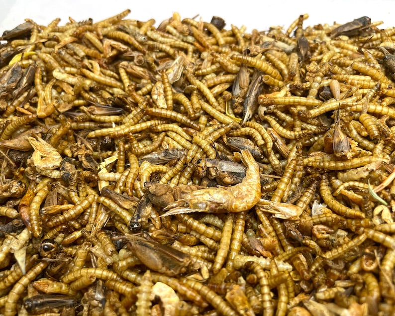 May include: A close-up of a mixture of dried insects and shrimp. The insects are mostly brown and beige, while the shrimp are a light orange color.