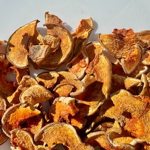 Pumpkin Chips - Small Pet Treats