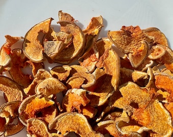 Pumpkin Chips - Small Pet Treats