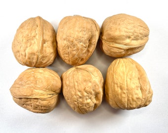 Walnuts - Small Pet Treats