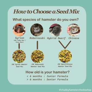 Chubby Hamster Cheeks® Miscela di semi per criceti siriani - 100 g immagine 9