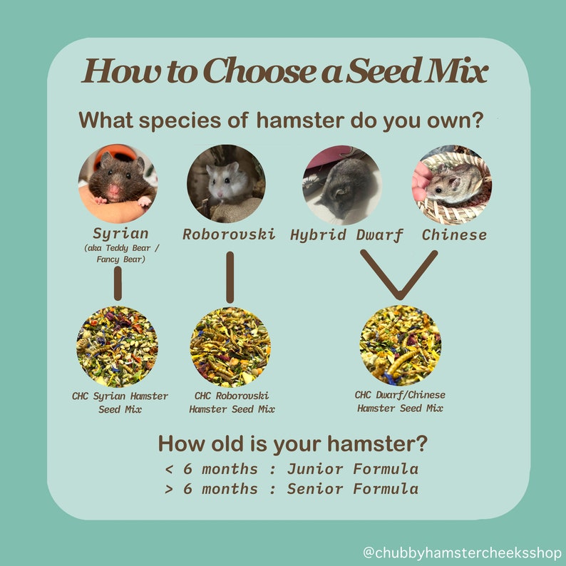 Chubby Hamster Cheeks® Miscela di semi per criceti siriani - 100 g immagine 9