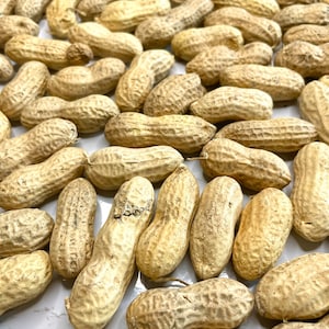 May include: A close-up of a pile of peanuts in their shells. The peanuts are a light brown color and have a rough texture.