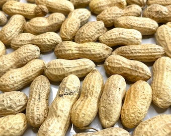 Peanuts - Small Pet Treats