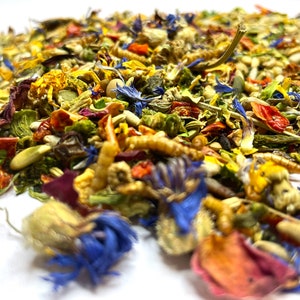 Pu&ograve; includere: Un mix di fiori secchi, semi e altri ingredienti per la dieta di un animale domestico. Il mix comprende ingredienti rossi, arancioni, gialli, verdi e blu.
