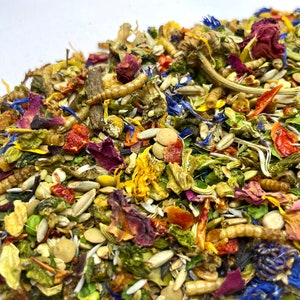 Puede incluir: Primer plano de una mezcla de flores secas, semillas e insectos. La mezcla es de varios colores, incluyendo rojo, naranja, amarillo, verde, azul y morado. La mezcla probablemente se utiliza como fuente de alimento para animales peque&ntilde;os.