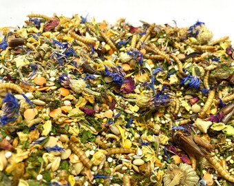 Dwarf/Chinese Hamster Seed Mix - 500g