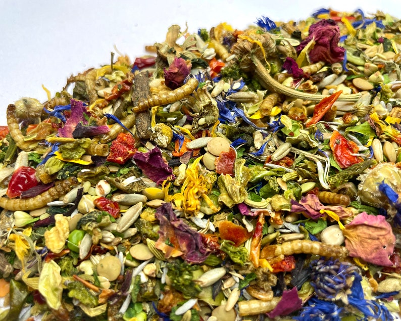 Pu&ograve; includere: Primo piano di un mix di fiori secchi, semi e insetti. Il mix &egrave; di vari colori, tra cui rosso, arancione, giallo, verde, blu e viola.