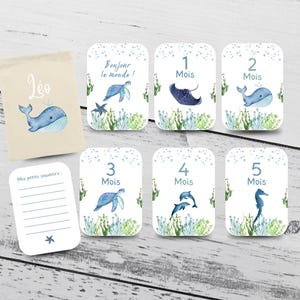 Cartes Étapes Bébé / Océan / Pack 1ère année / Cadeau de naissance / Cadeau Baby Shower