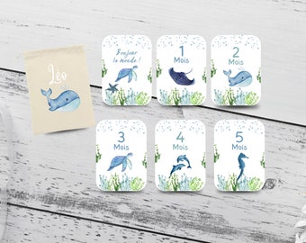 Cartes Étapes Bébé / Océan / Pack 1ère année / Cadeau de naissance / Cadeau Baby Shower