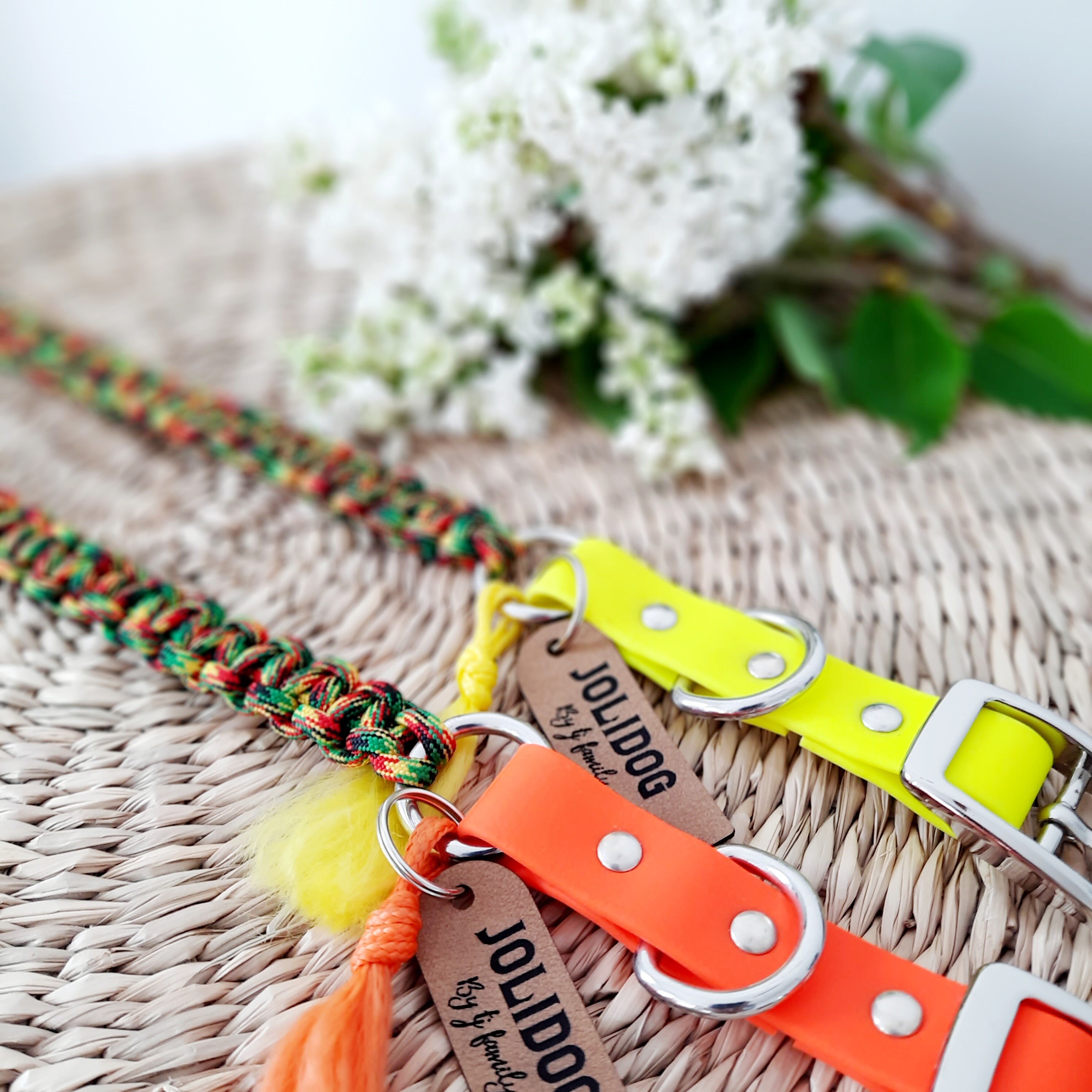 Collier Jolisummer Pour Chien Réglable et Personnalisable en Corde Biothane de La Gamme Joliseason B