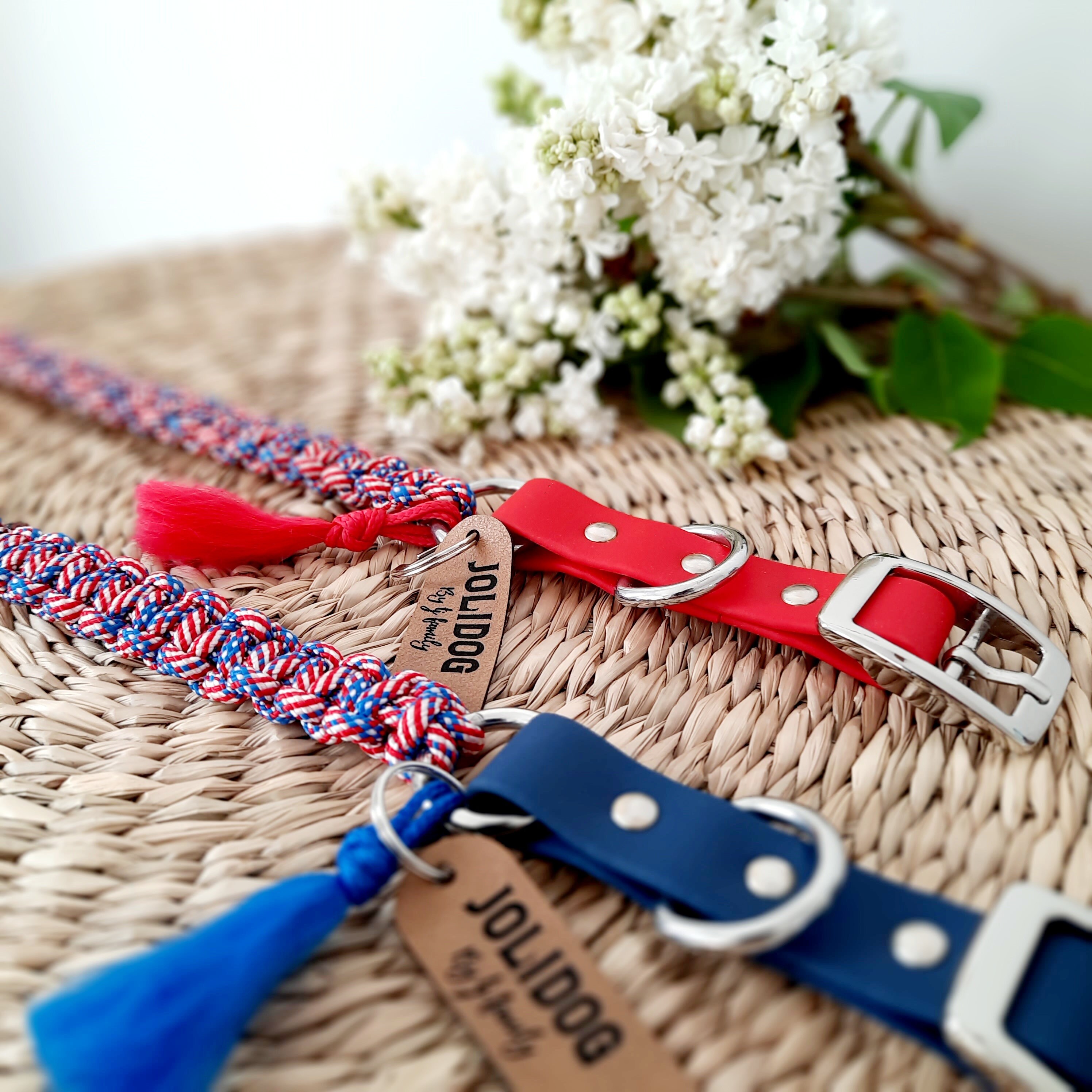 Collier Jolispring Pour Chien Réglable et Personnalisable en Corde Biothane de La Gamme Joliseason B