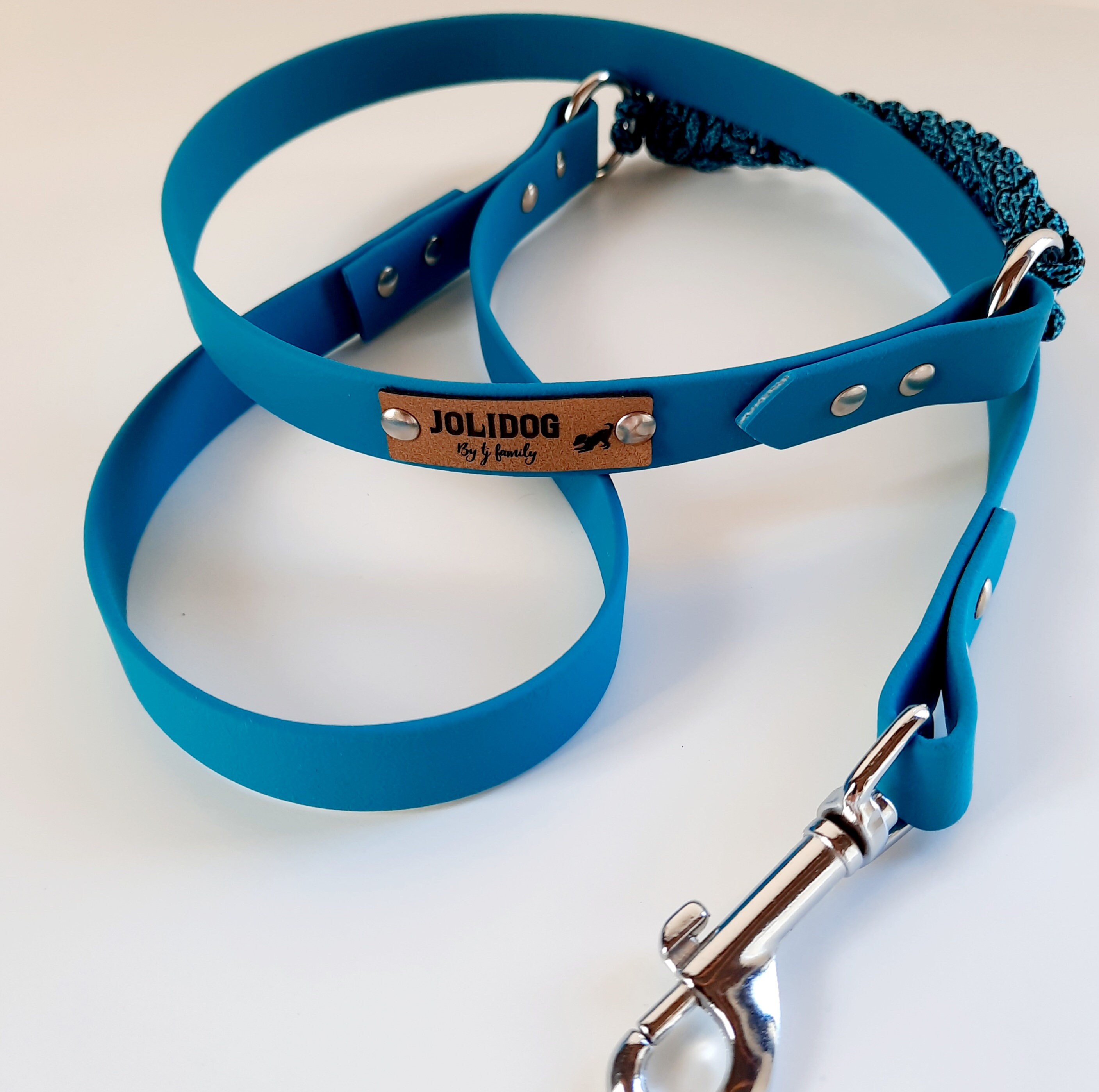 Laisse Joliwinter Pour Chien - Laisse en Biothane et Paracorde, de La Gamme Joliseason, Fabriquée à 