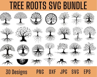 Celtic Tree of Life Svg, Family Reunion Svg, Family Tree Svg for Tshirt, Tree Svg, Tree of Life Clipart, Family Tree Template, silhouette