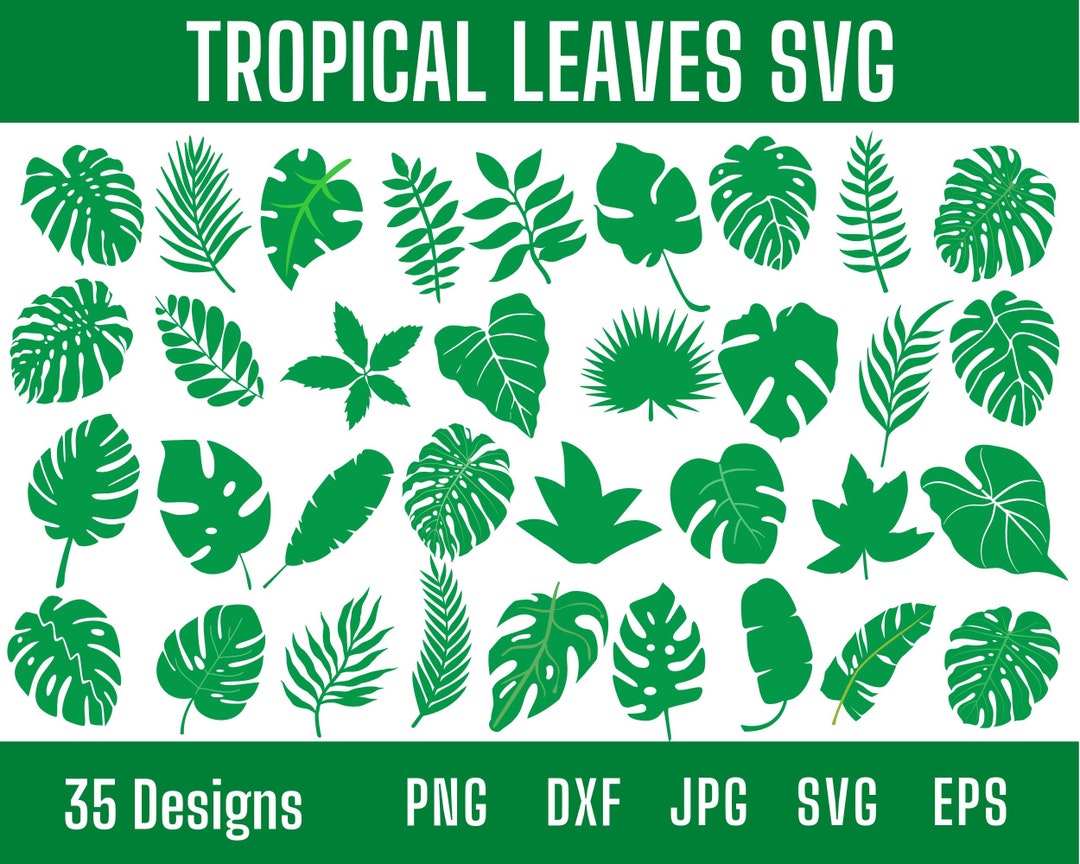 Tropical Leaves Svg Bundle Monstera Leaf Svg Tropical Leaf - Etsy