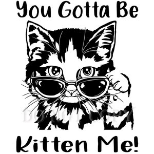 You Gotta Be Kitten Me SVG and PNG File | Funny Cat SVG | Cool Cat Svg | Cat With Sunglasses Svg | Kitten With Sunglasses Svg |