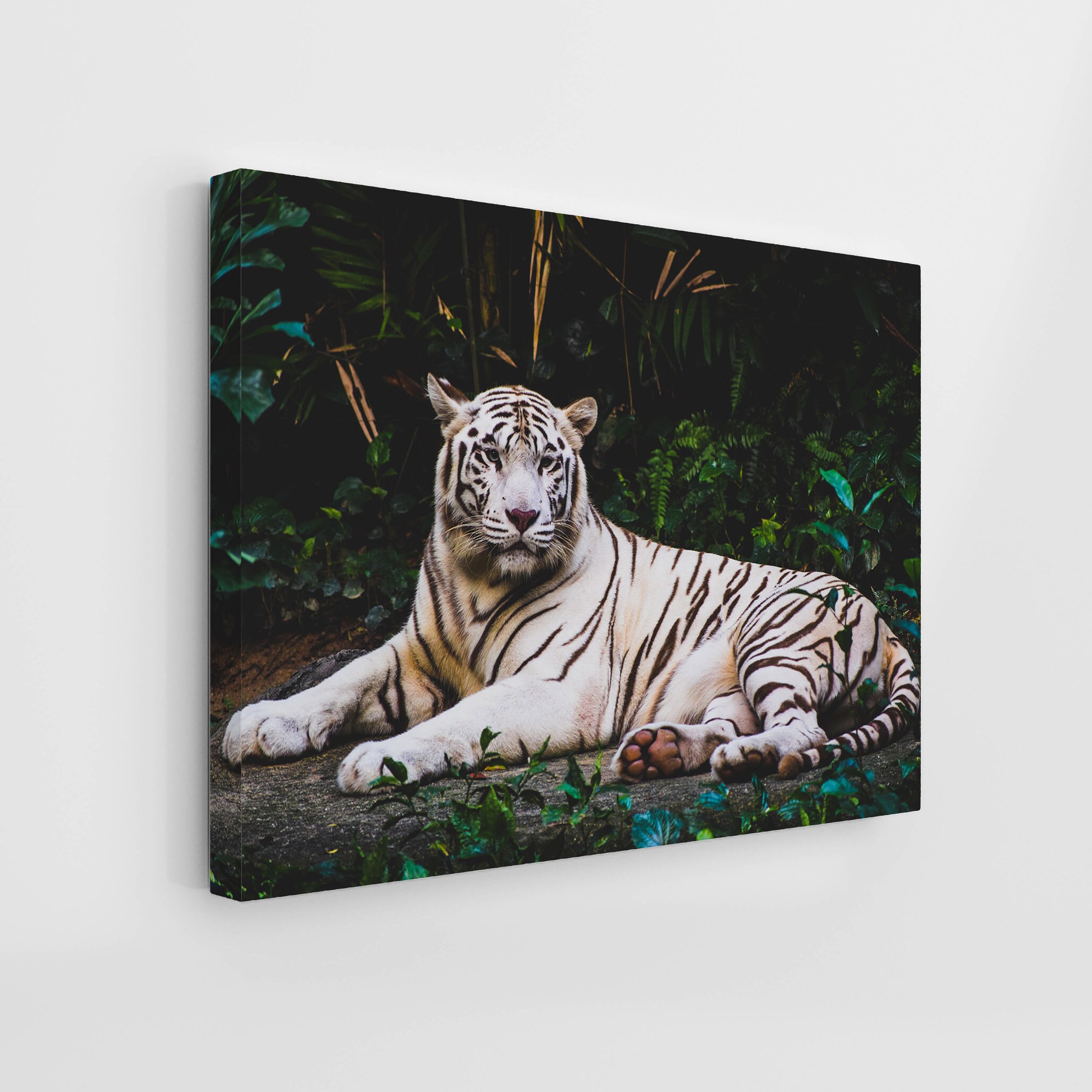White Tiger Wall Art High Quality Canvas Tiger Canvas Etsy