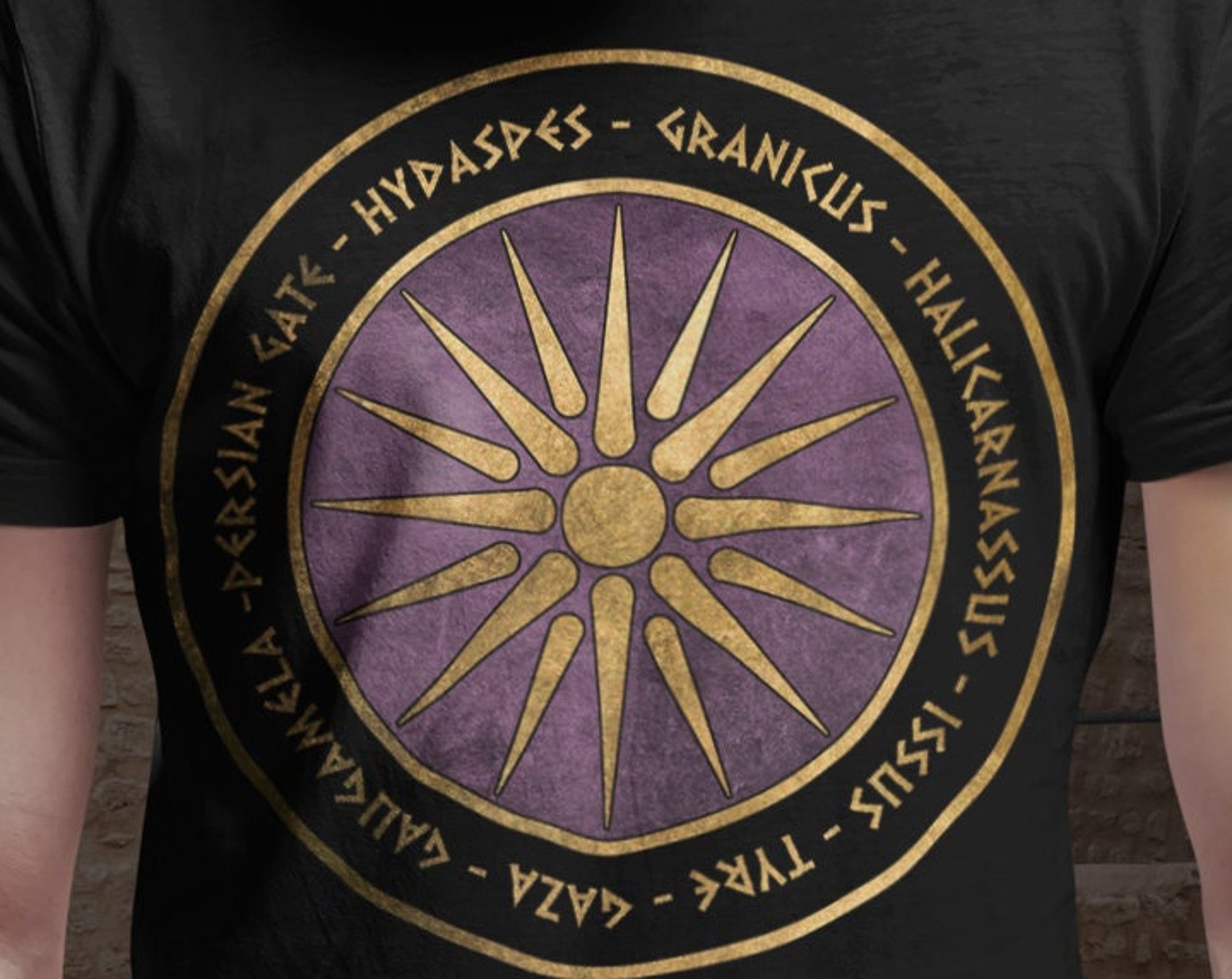 Alexander die groen Schlachten Antike griechische Geschichte T-Shirt Alexander die groen Schlachten Antike griechische Geschichte T-Shirt
