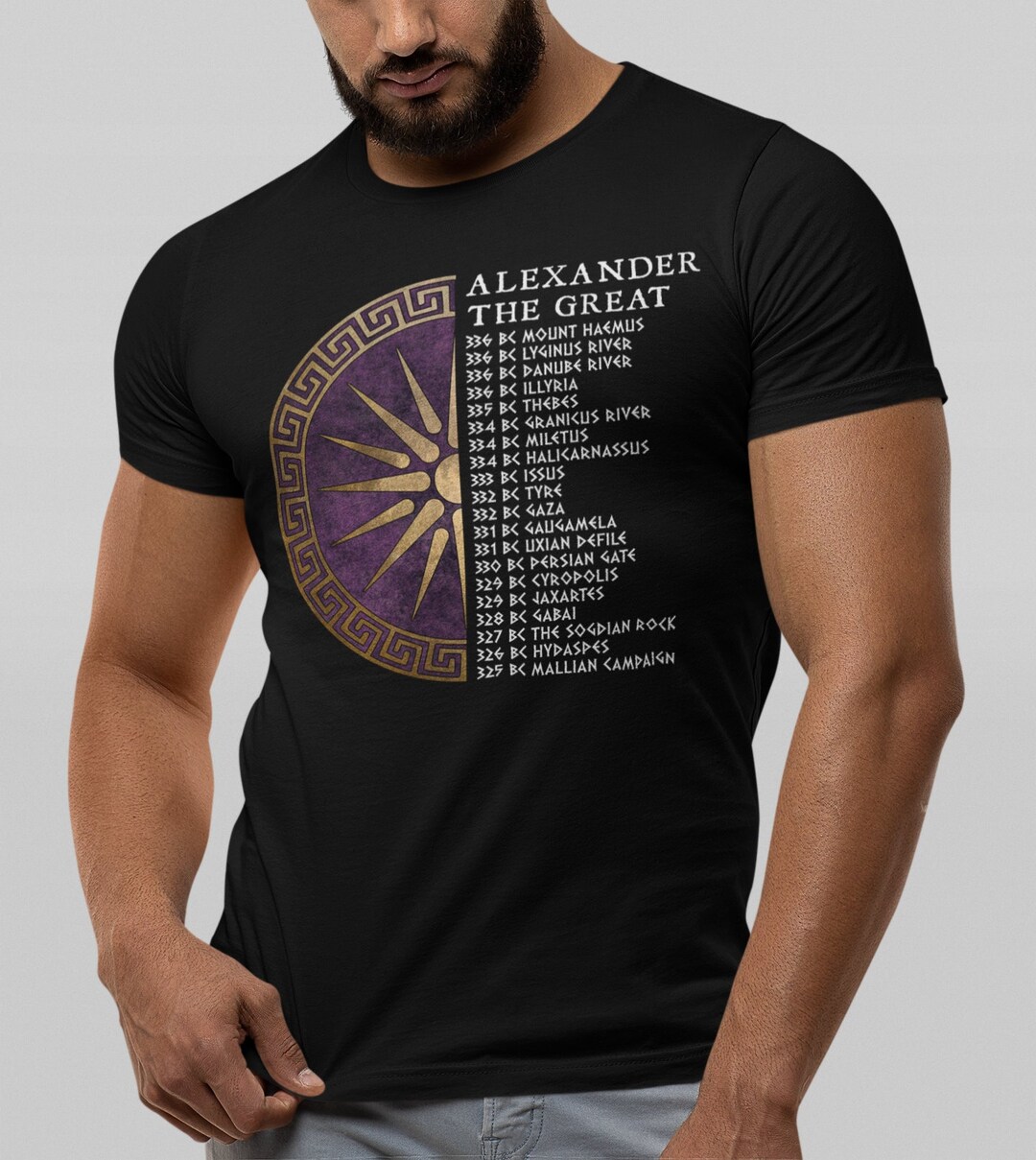 Buy Alexander the Great Battles Hellenic History Argead Sun Ancient  Macedon T-shirt Online in India