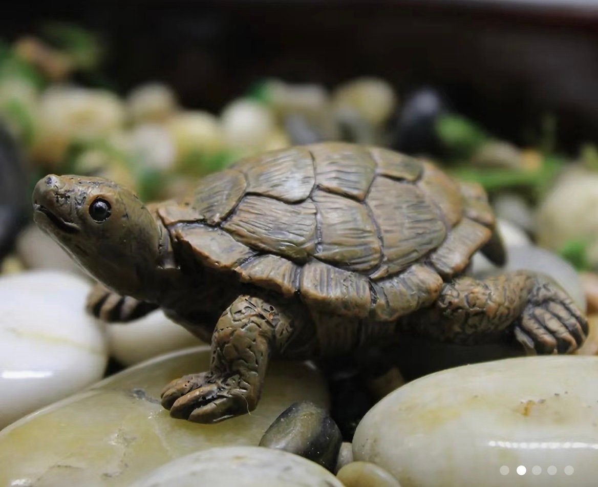 Tiny Turtle – Sand Tray Therapy