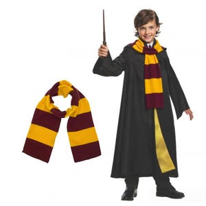 May include: A yellow and burgundy striped scarf and a black robe with a yellow and burgundy striped scarf. The robe is worn by a person holding a wand. The scarf is also shown separately.