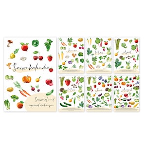 Puede incluir: Un calendario de temporada con ilustraciones de frutas y verduras para cada mes del a&ntilde;o. El calendario est&aacute; en alem&aacute;n e incluye el texto "Saisonkalender" y "Saisonal und regional einkaufen."