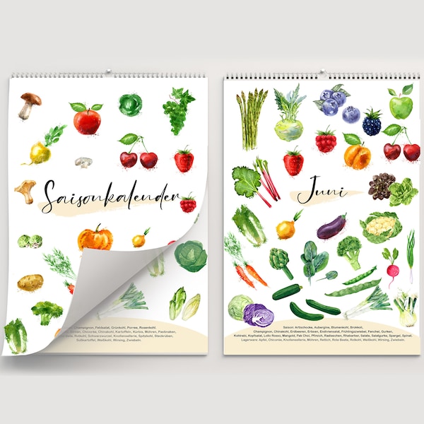Seasonal calendar for fruits and vegetables from the garden | Wall calendar A4 | Illustrated | reusable | minimalist | sustainable