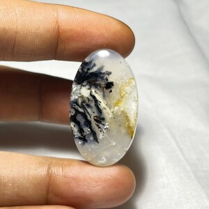 Puede incluir: Piedra preciosa en cabujón de forma ovalada con un patrón de ágata dendrítica blanco, negro y amarillo.