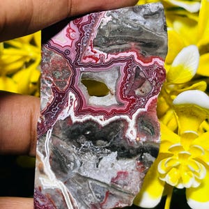 Può includere: Una pietra lucida, di forma irregolare, con una cavità simile a una geode. La pietra presenta strati di motivi rossi, bianchi, grigi e neri. La pietra è tenuta contro uno sfondo di fiori gialli.