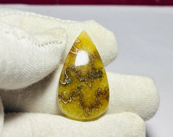 Natural Ammonite Cabochon, Loose Gemstone (33X19X4 MM)