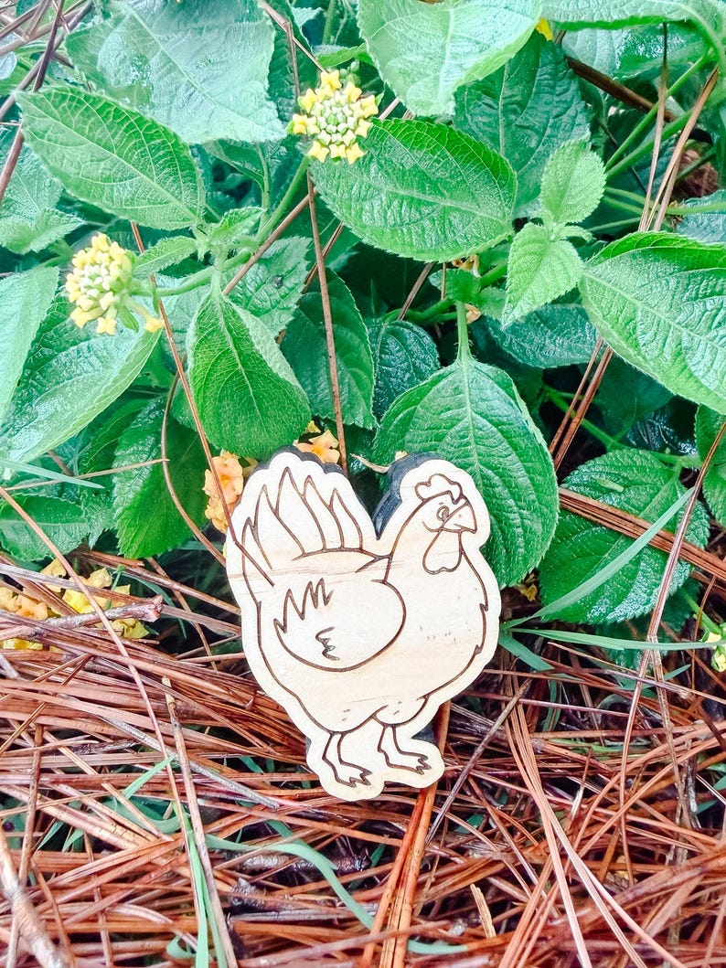 May include: A light-colored wooden cutout shaped like a chicken, featuring dark brown engraved outlines that define the bird's feathers, comb, beak, and feet. The wooden figure has a smooth surface and is positioned against a natural outdoor backdrop.