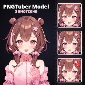 PNGTuber Cute Girl in Beautiful Pink Dress | 3 Emotions | Ready to Use PNGTuber Model | Instant Download