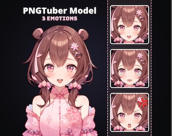 PNGTuber Cute Girl in Beautiful Pink Dress | 3 Emotions | Ready to Use PNGTuber Model | Instant Download