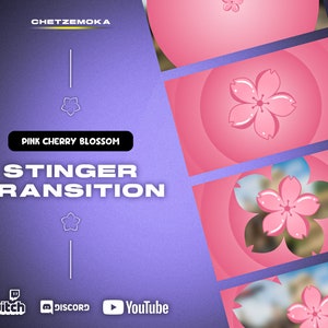 Cherry Blossom Stinger Transition | Animated Stinger Transition | Pink Sakura Flower | Twitch Stream