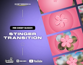 May include: Pink cherry blossom stinger transition animation effect for Twitch, Discord, and YouTube. The animation features a pink circle with a white cherry blossom in the center.