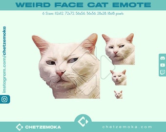 Weird Cat Twitch Emote / Twitch / Youtube / Discord | Instant Delivery | Cat Meme