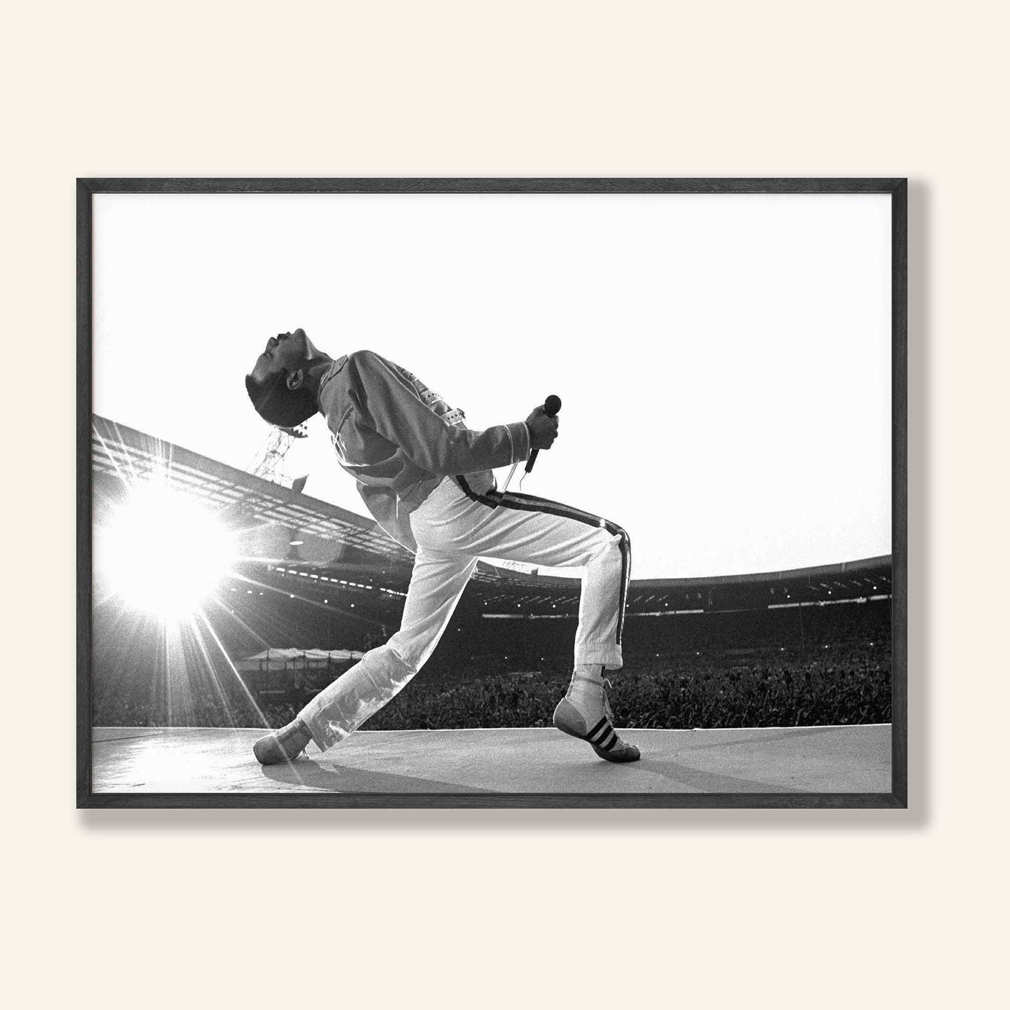 Discover Freddie Mercury Poster Wall Art