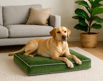 Custom Orthopedic Dog Bed Cover: removable and Washable green color