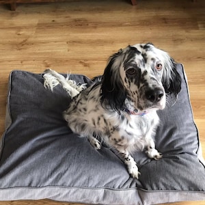 Premium quality Removable and washable cream color   custom size orthopedic dog bed and  covers