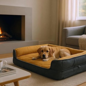 Mustard Black color Premium Quality Removable and washable Sofa Bolster orthopedic dog bed