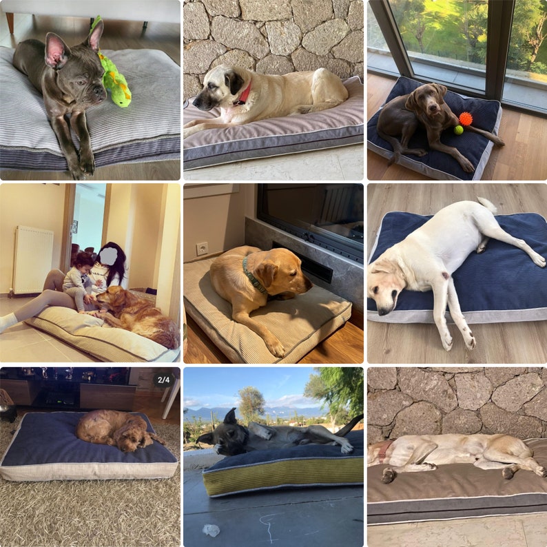 Made to Order Removable and Washable Custom Size Dog Bed and Etsy