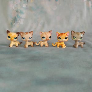 Peut inclure: Cinq petites figurines de chats de différentes couleurs et motifs. Les chats ont de grands yeux et sont dans une pose ludique. Les couleurs incluent le beige, l'orange et le marron. Les figurines sont sur un fond bleu clair.