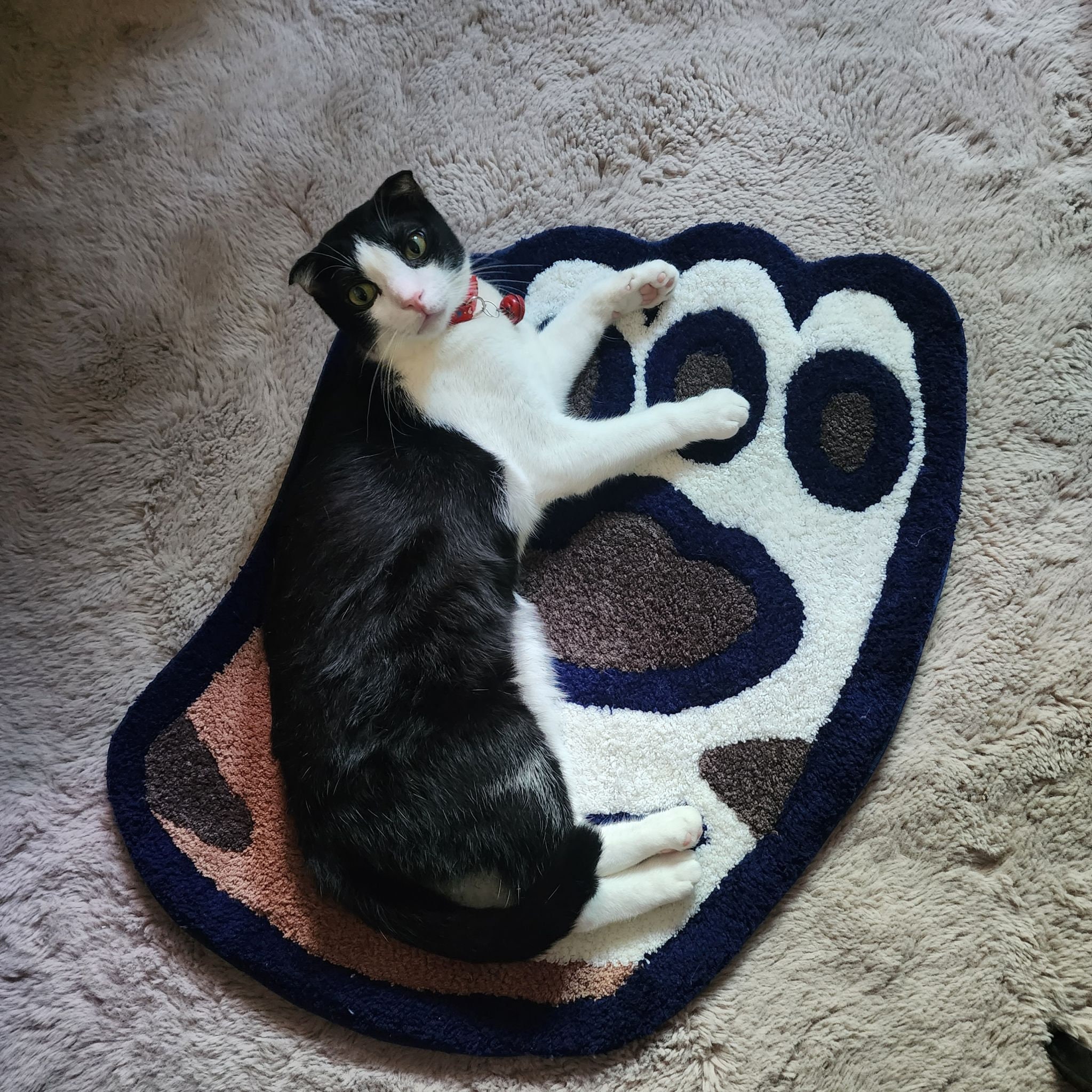 Round Area Rugs 4 Ft Animal Cat Dog Paw Puppy Footprint Floor Mat Carpet  Non-Slip Machine Washable Kids Play Living Room Hall Bedroom