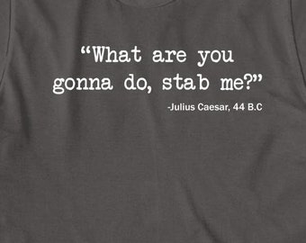 What Are You Gonna Do? shirt, funny, julius caesar, Christmas gift - ID: 395