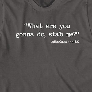 What Are You Gonna Do? shirt, funny, julius caesar, Christmas gift - ID: 395