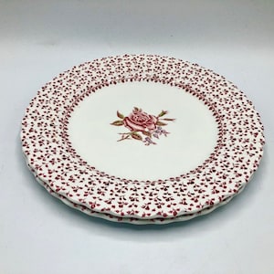1970s Set of 2 Dinner Plates Johnson Brothers Rose Bouquet Pattern Ironstone Red / Pink And White Transferware   England