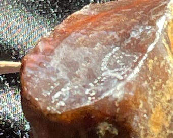Red Cherry Amber “Elfie” Petrified Tree Sap