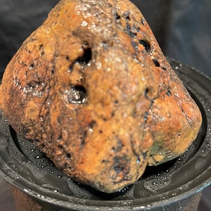 Authentic Dinosaur Bone With Stem Fossil